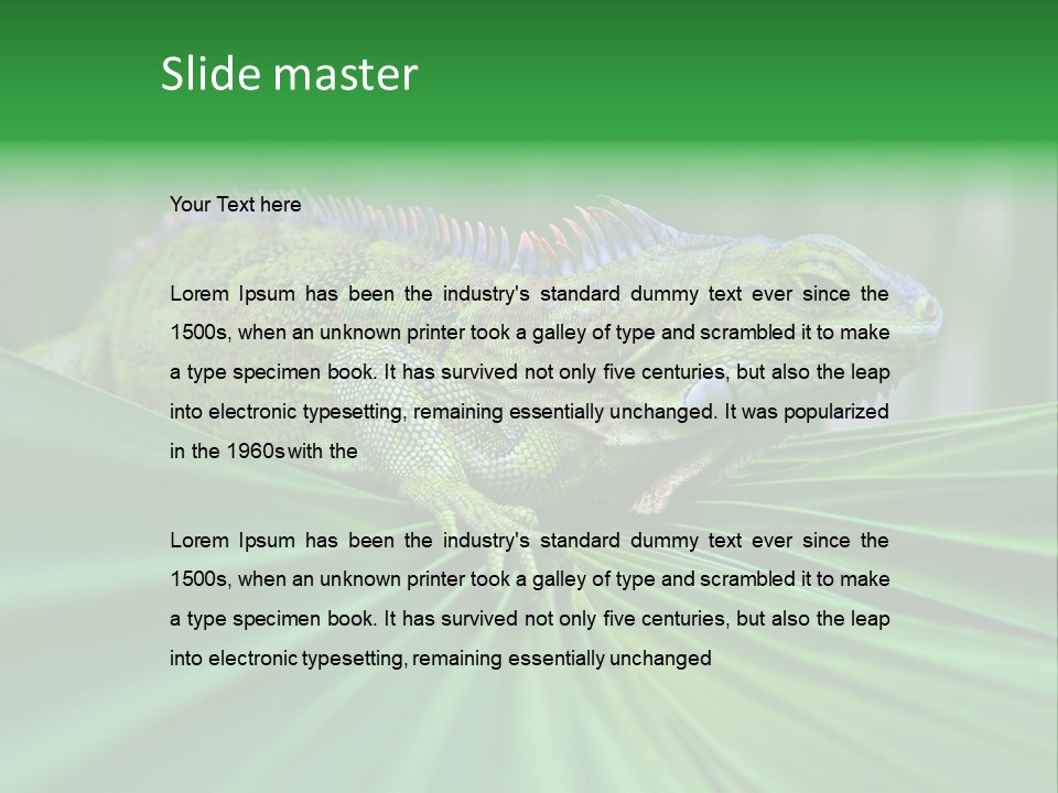 Iguana Green Wildlife PowerPoint Template