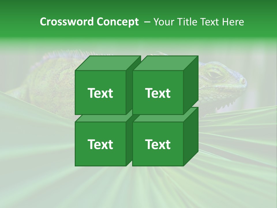 Iguana Green Wildlife PowerPoint Template