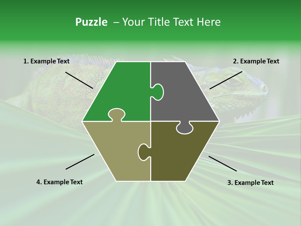 Iguana Green Wildlife PowerPoint Template