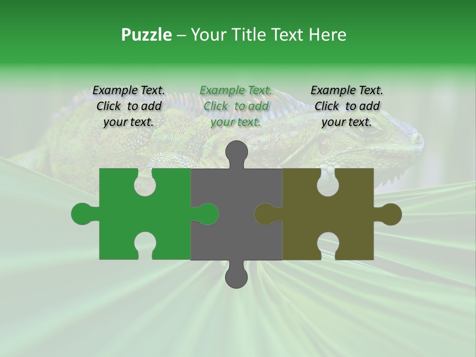 Iguana Green Wildlife PowerPoint Template