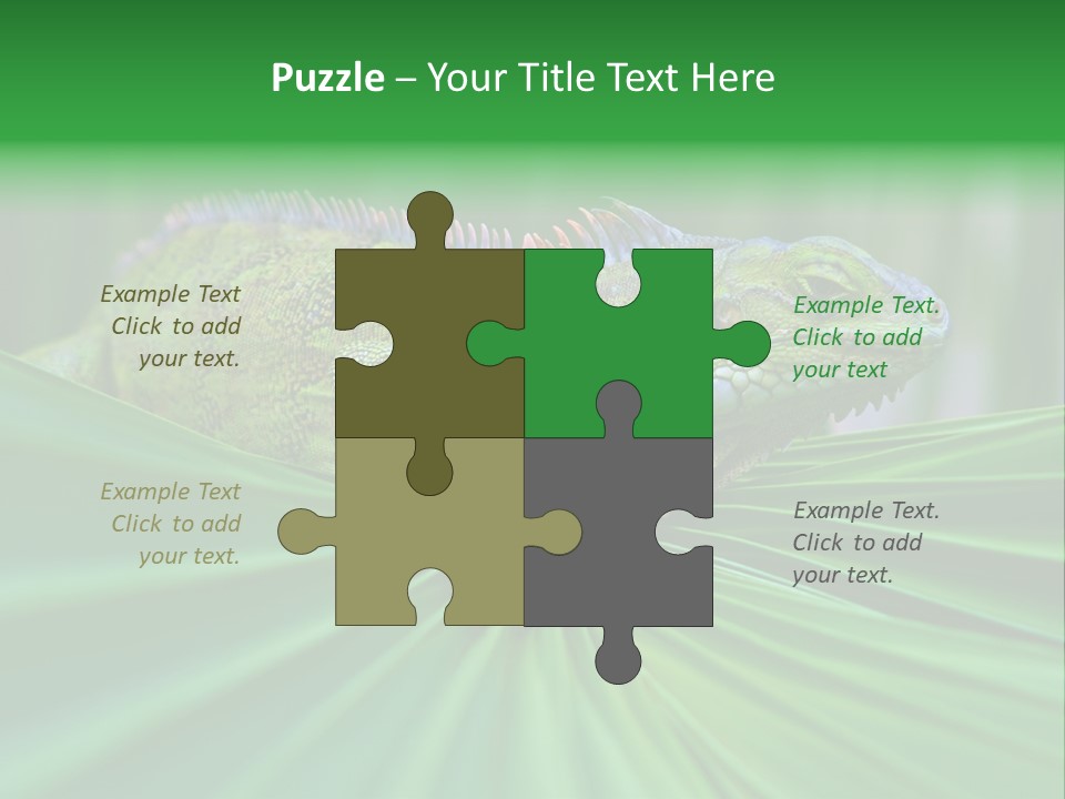 Iguana Green Wildlife PowerPoint Template