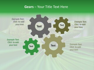 Iguana Green Wildlife PowerPoint Template