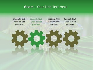 Iguana Green Wildlife PowerPoint Template