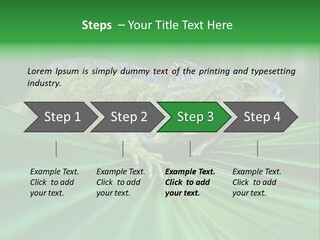 Iguana Green Wildlife PowerPoint Template
