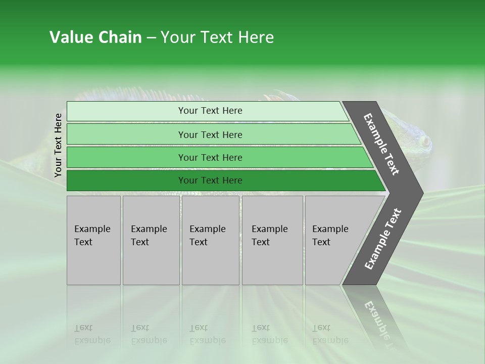 Iguana Green Wildlife PowerPoint Template