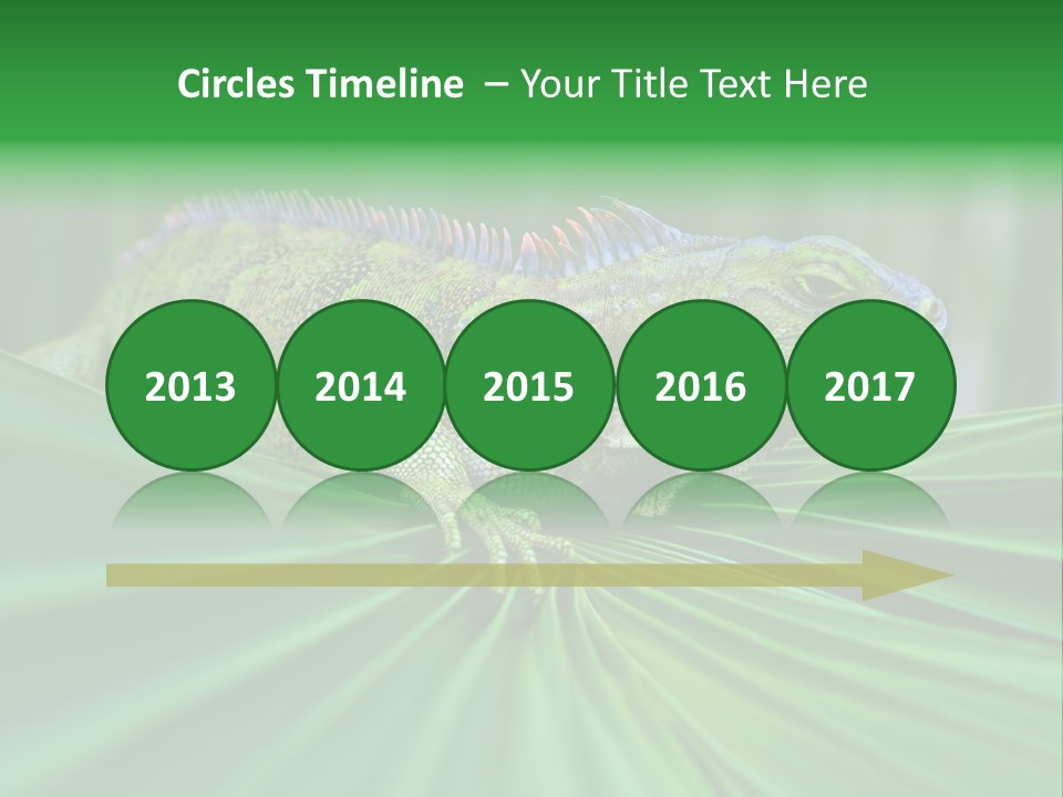 Iguana Green Wildlife PowerPoint Template