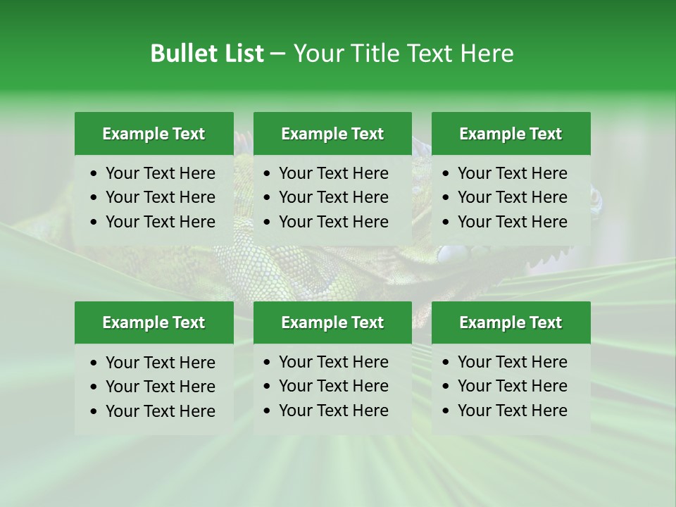 Iguana Green Wildlife PowerPoint Template