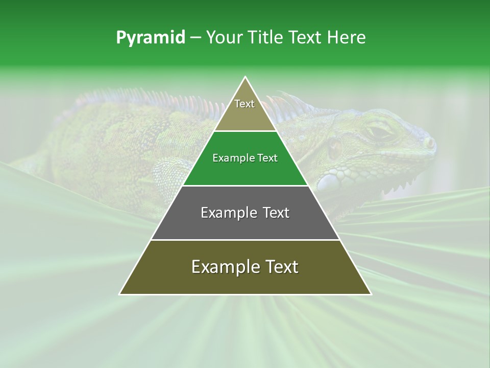 Iguana Green Wildlife PowerPoint Template