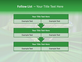 Iguana Green Wildlife PowerPoint Template
