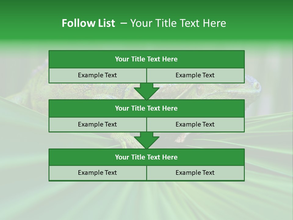 Iguana Green Wildlife PowerPoint Template