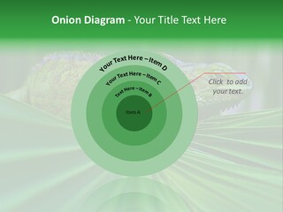 Iguana Green Wildlife PowerPoint Template