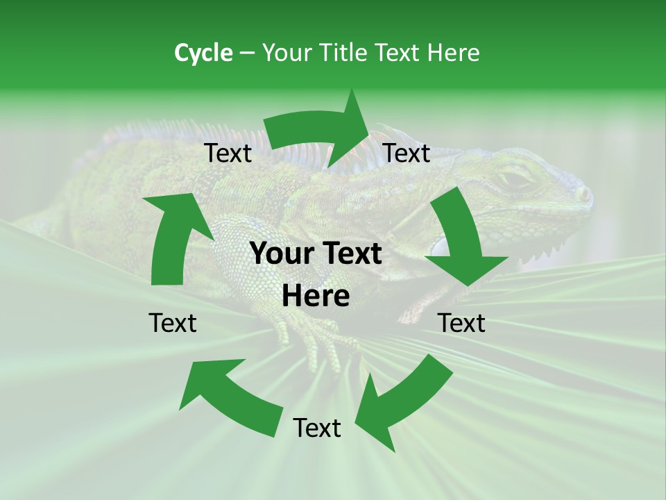 Iguana Green Wildlife PowerPoint Template