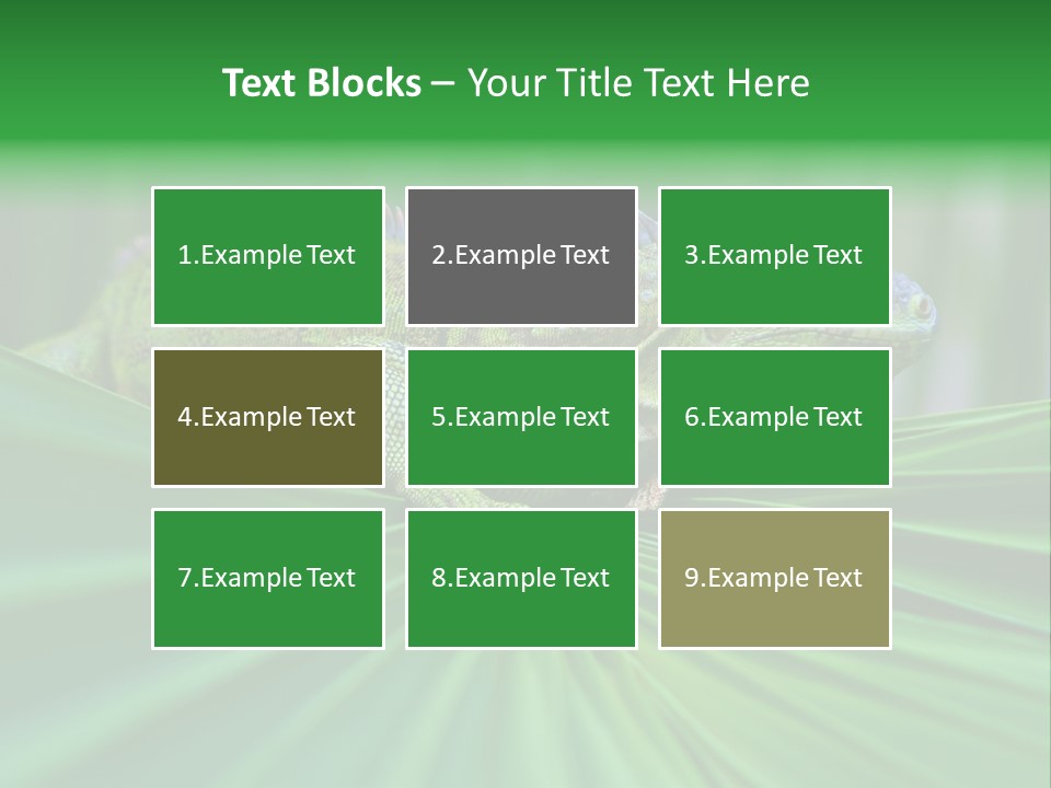 Iguana Green Wildlife PowerPoint Template