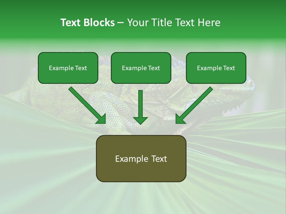 Iguana Green Wildlife PowerPoint Template
