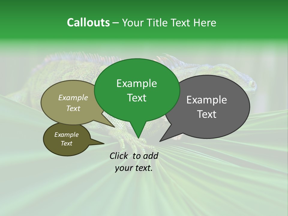 Iguana Green Wildlife PowerPoint Template