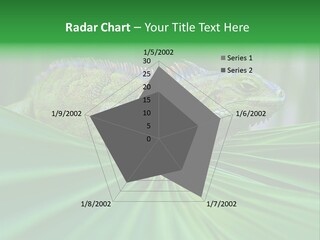 Iguana Green Wildlife PowerPoint Template