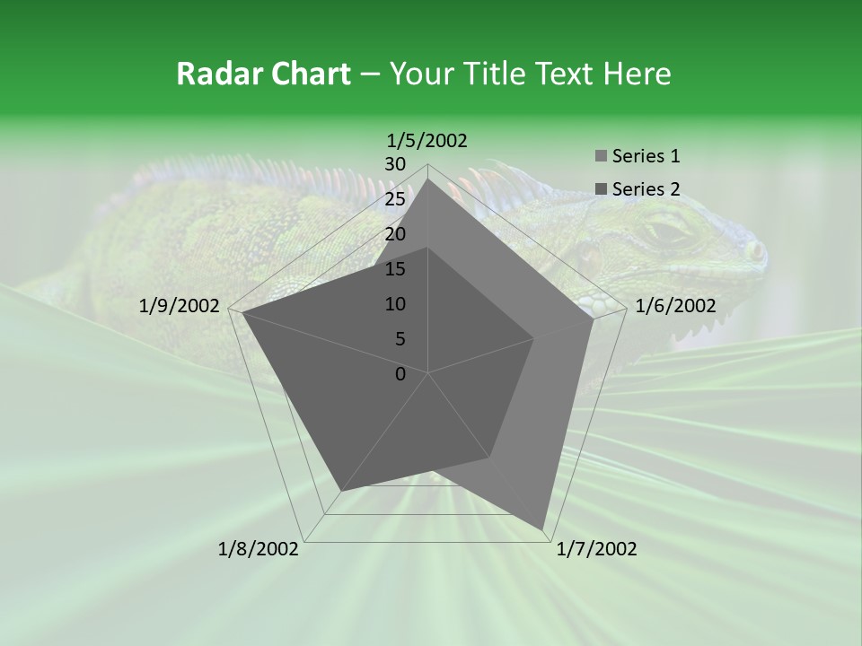 Iguana Green Wildlife PowerPoint Template