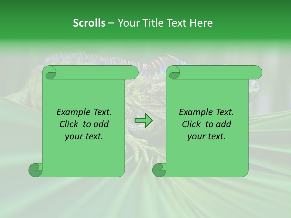 Iguana Green Wildlife PowerPoint Template