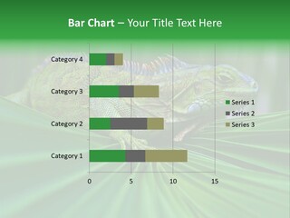 Iguana Green Wildlife PowerPoint Template