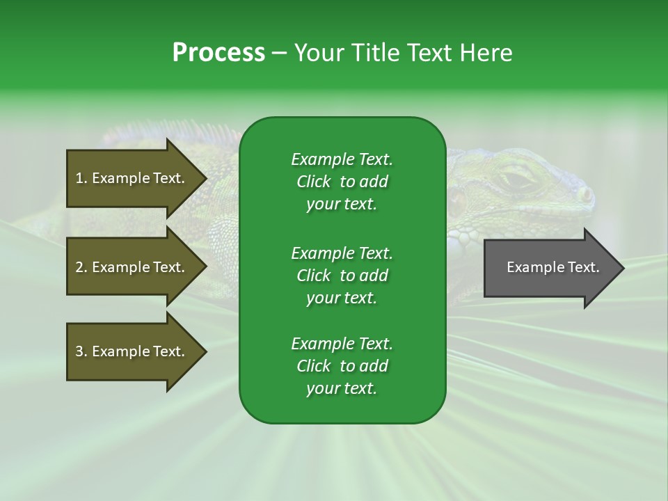 Iguana Green Wildlife PowerPoint Template