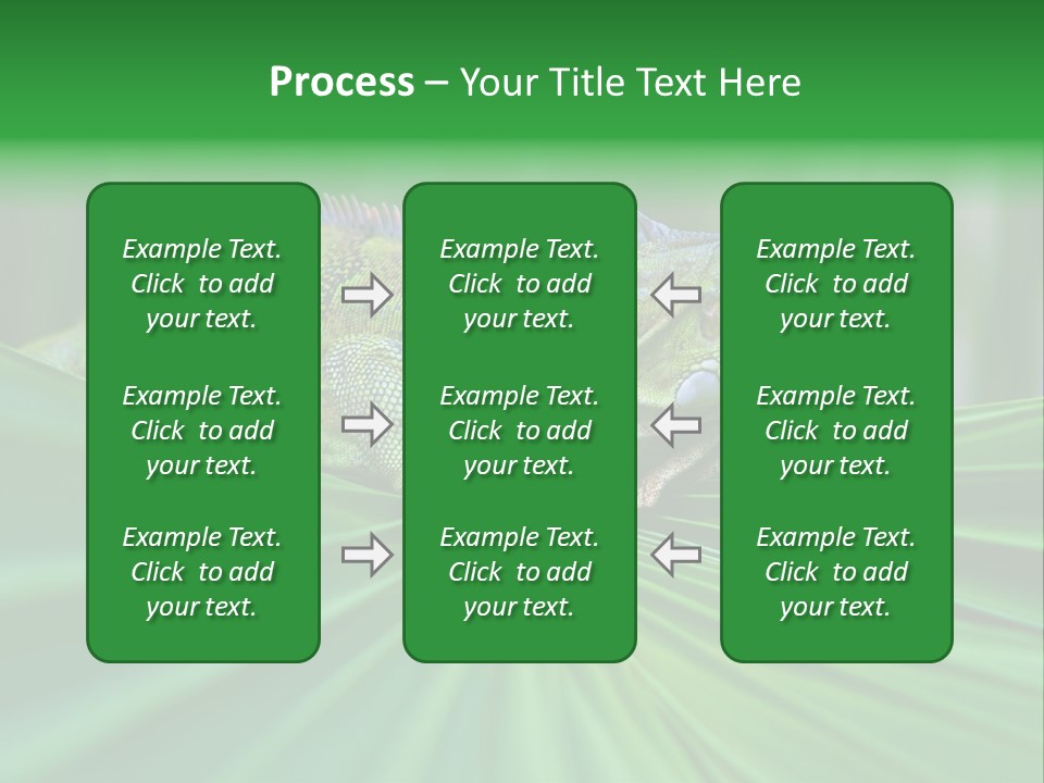 Iguana Green Wildlife PowerPoint Template