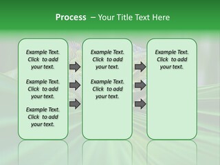 Iguana Green Wildlife PowerPoint Template