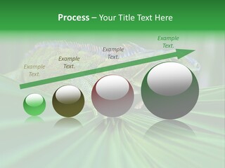 Iguana Green Wildlife PowerPoint Template