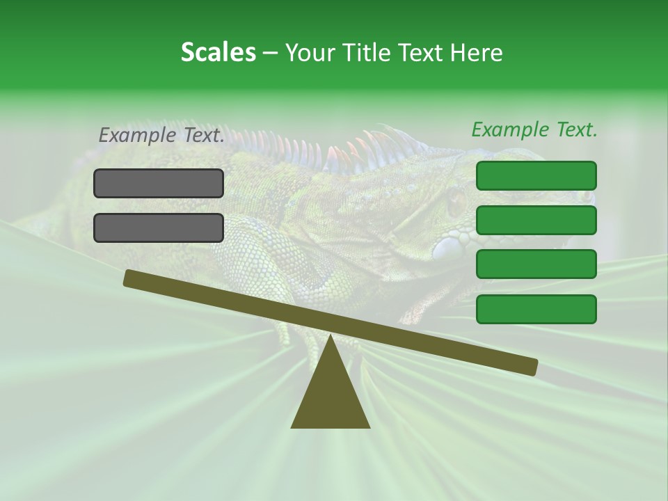 Iguana Green Wildlife PowerPoint Template
