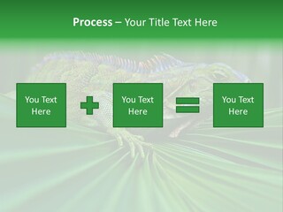 Iguana Green Wildlife PowerPoint Template