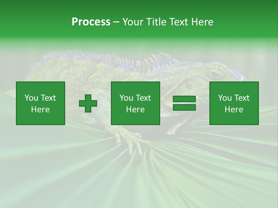 Iguana Green Wildlife PowerPoint Template