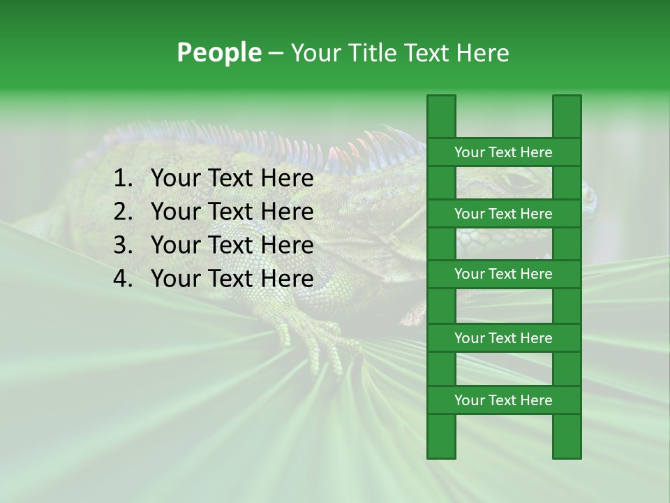 Iguana Green Wildlife PowerPoint Template