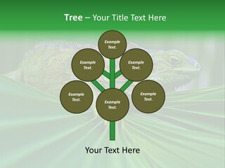 Iguana Green Wildlife PowerPoint Template