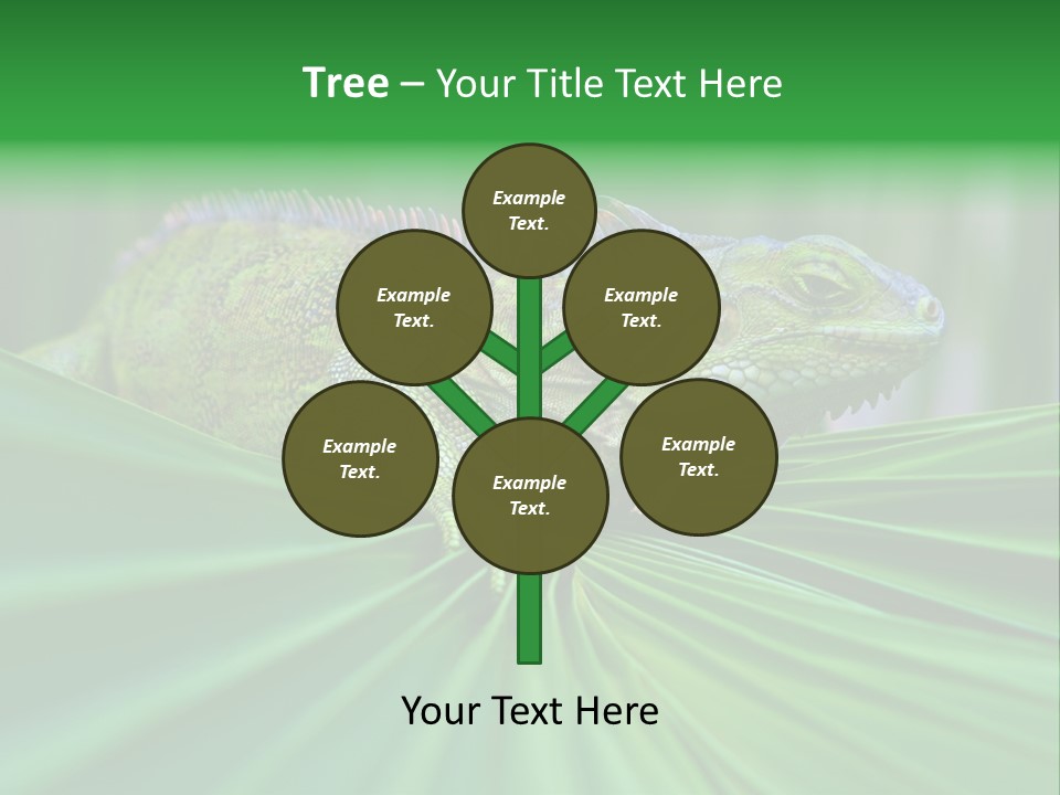 Iguana Green Wildlife PowerPoint Template