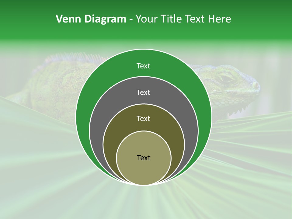 Iguana Green Wildlife PowerPoint Template