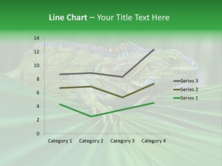 Iguana Green Wildlife PowerPoint Template