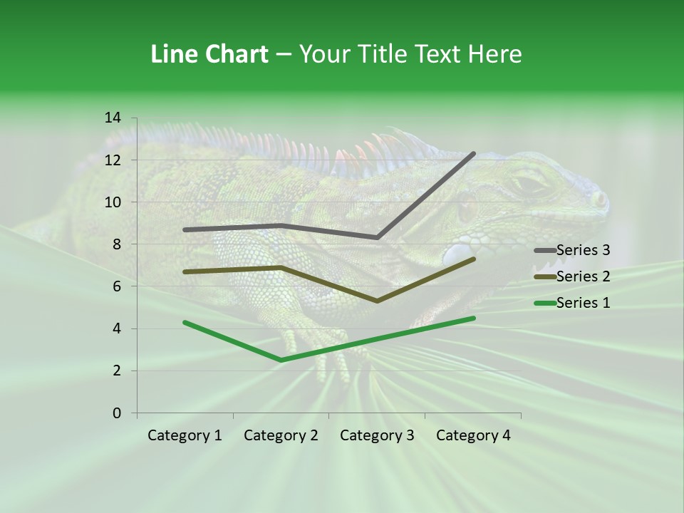 Iguana Green Wildlife PowerPoint Template