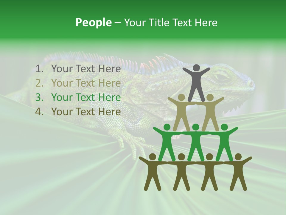 Iguana Green Wildlife PowerPoint Template