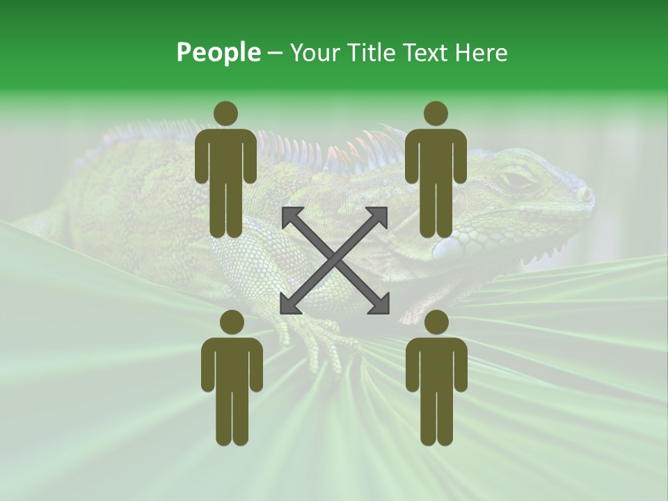Iguana Green Wildlife PowerPoint Template