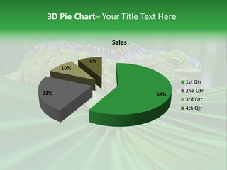 Iguana Green Wildlife PowerPoint Template