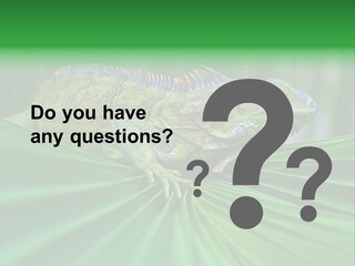 Iguana Green Wildlife PowerPoint Template