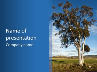 Horizon Property New PowerPoint Template