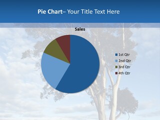 Horizon Property New PowerPoint Template