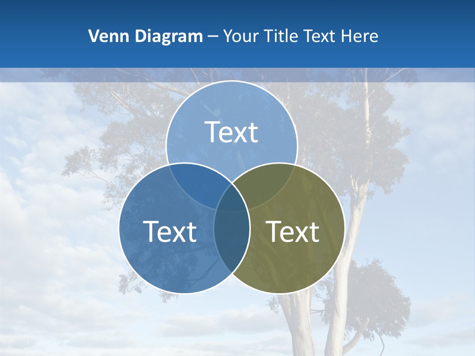 Horizon Property New PowerPoint Template