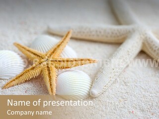 Nature Beach Shallow PowerPoint Template