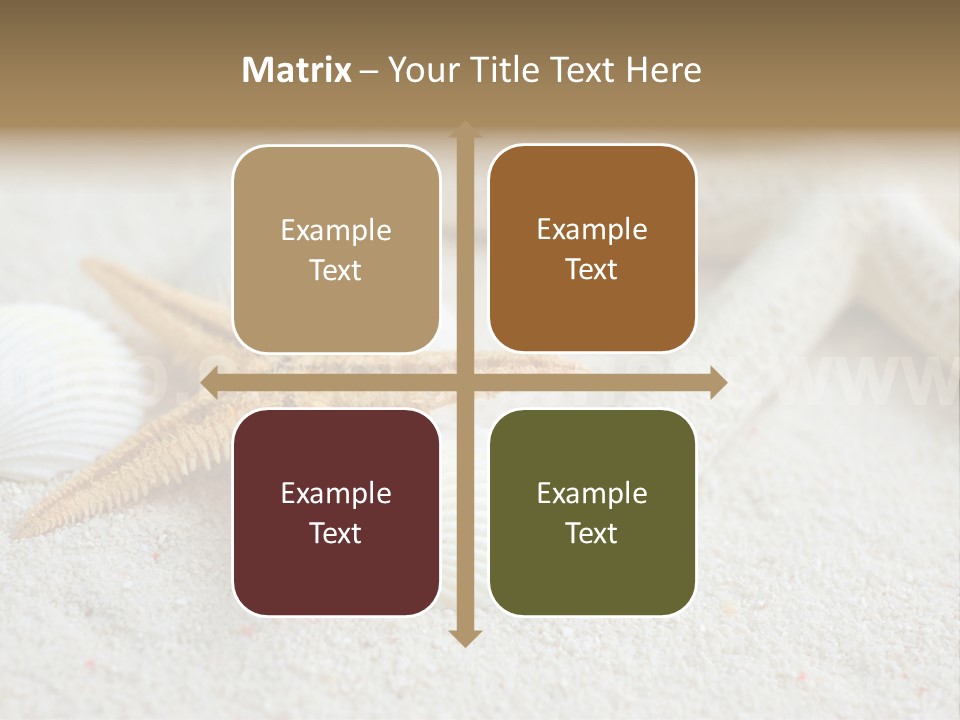 Nature Beach Shallow PowerPoint Template