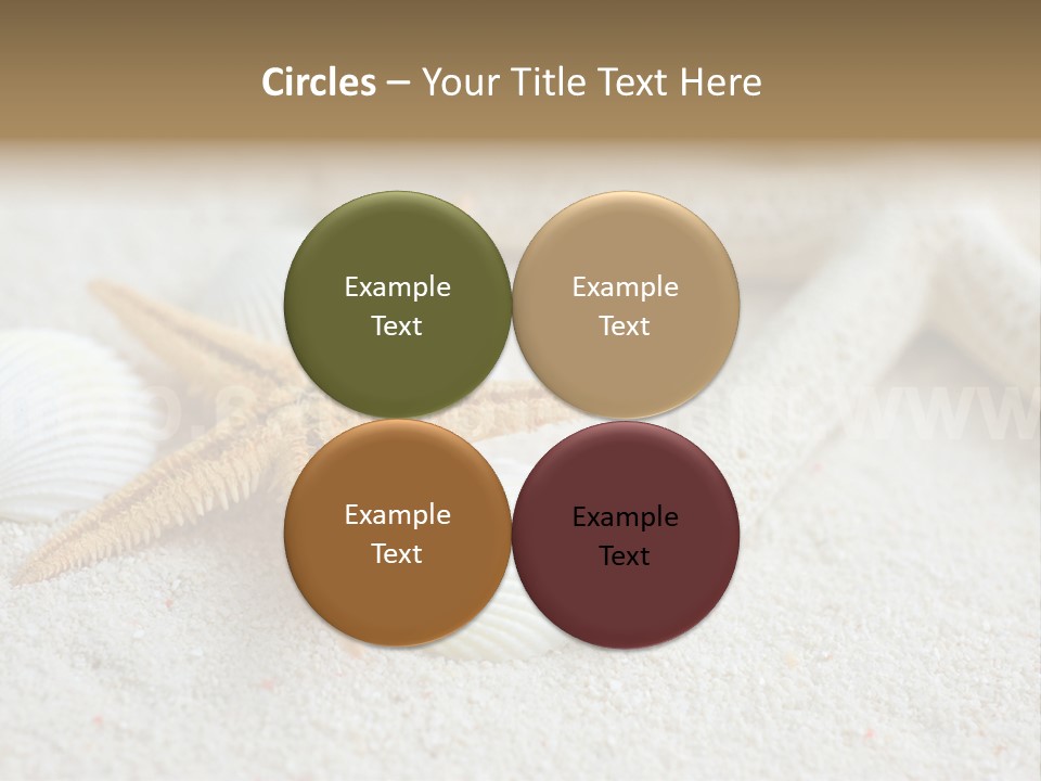 Nature Beach Shallow PowerPoint Template