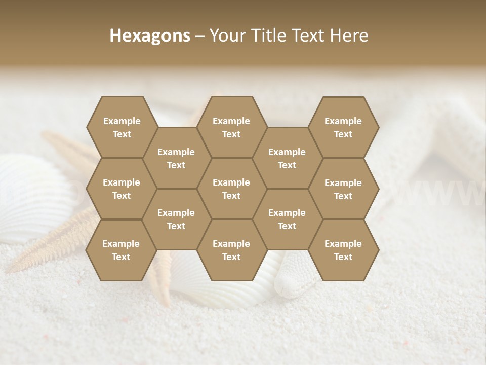 Nature Beach Shallow PowerPoint Template