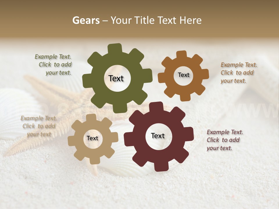 Nature Beach Shallow PowerPoint Template