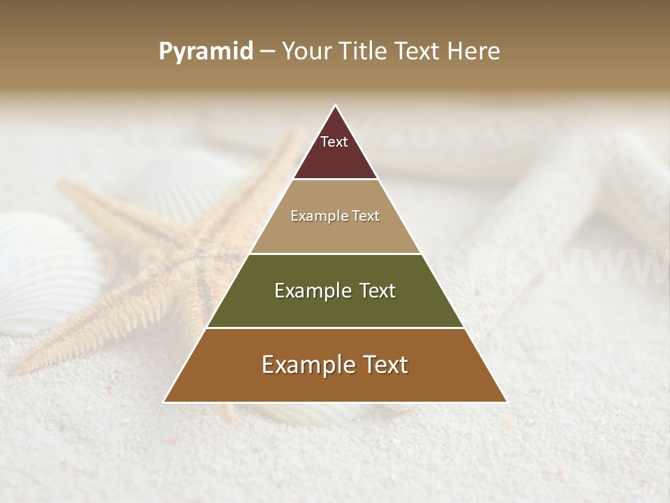 Nature Beach Shallow PowerPoint Template