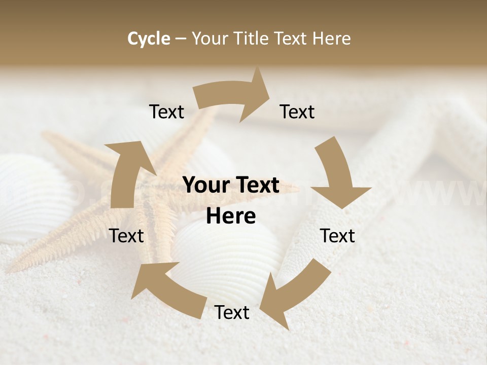 Nature Beach Shallow PowerPoint Template